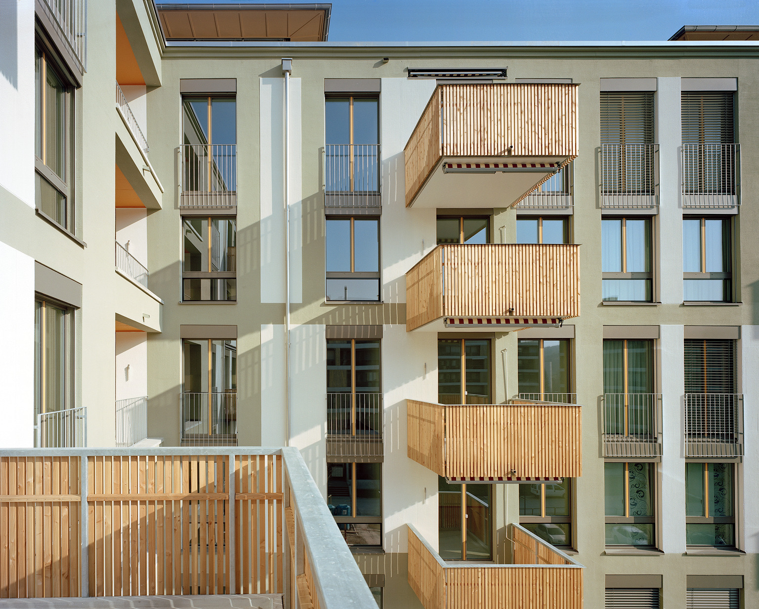 Klee_3 Bild_ruedi walti_30