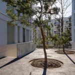 026-_09-©Johannes-Marburg-700x480