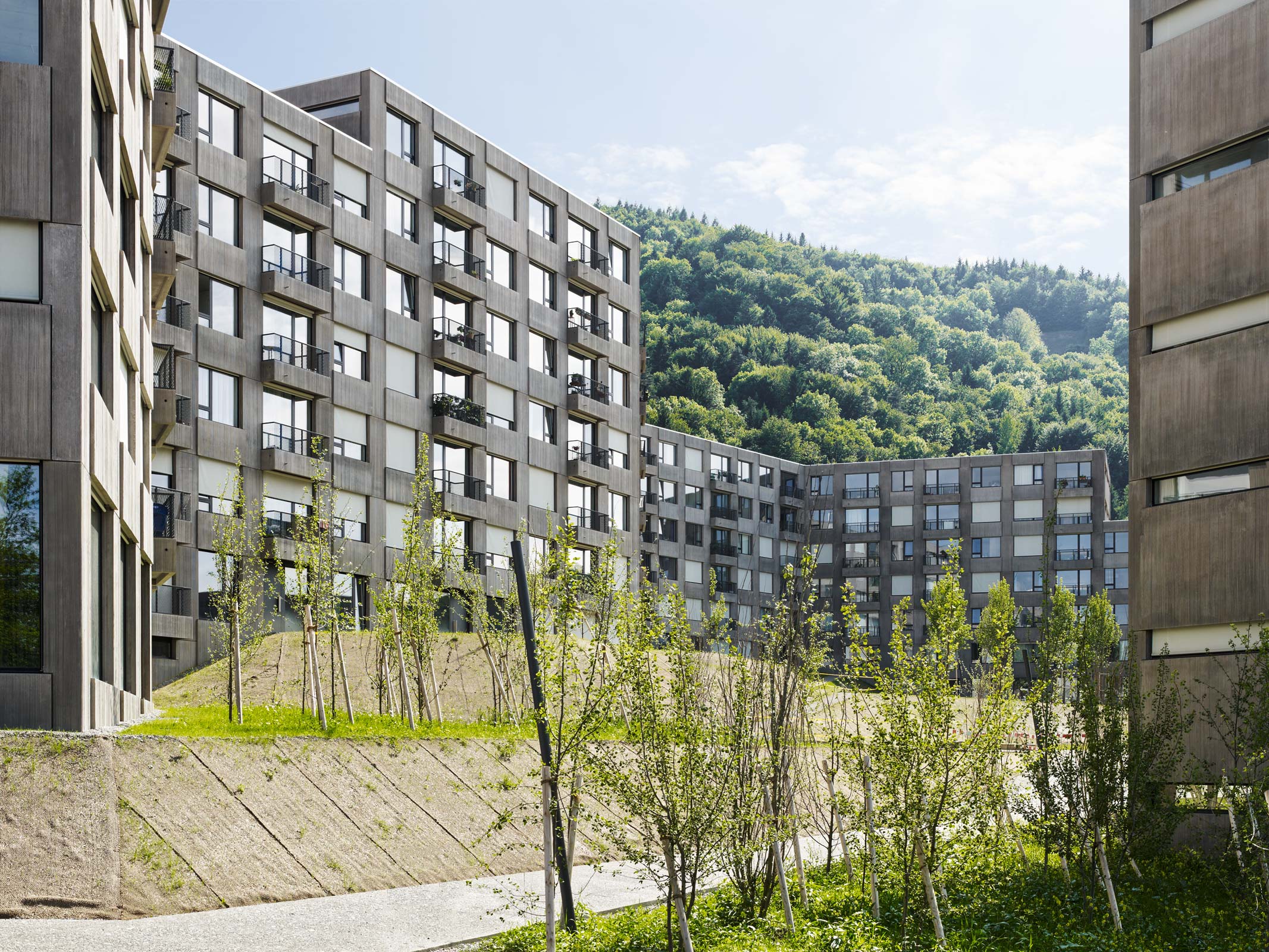 084_12-06-05_301_aerni