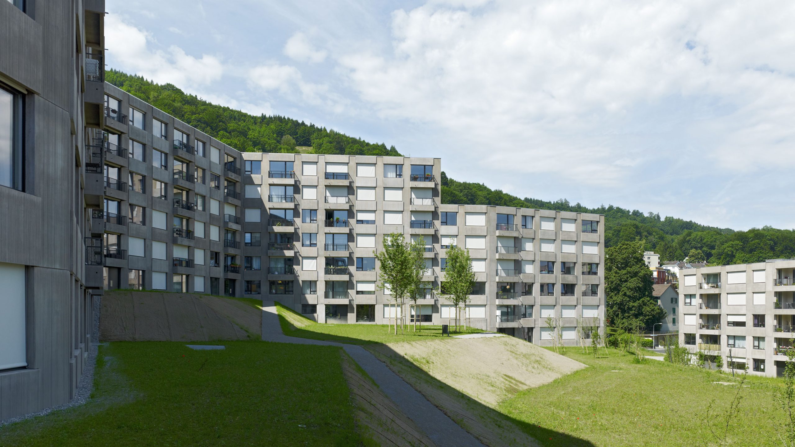 084_12-06-15_345_aerni-1-scaled