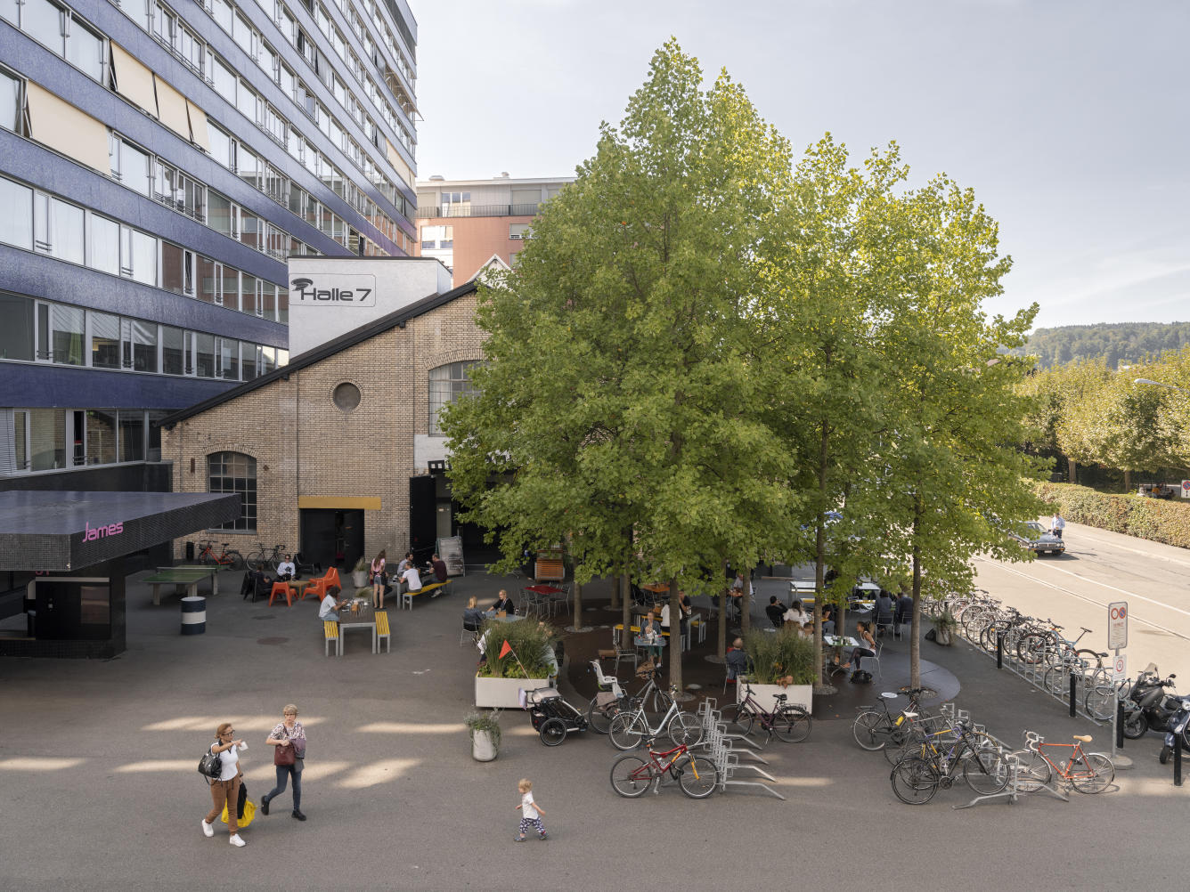 BSZ2191__ScaleMaxWidthWzEzMzZd