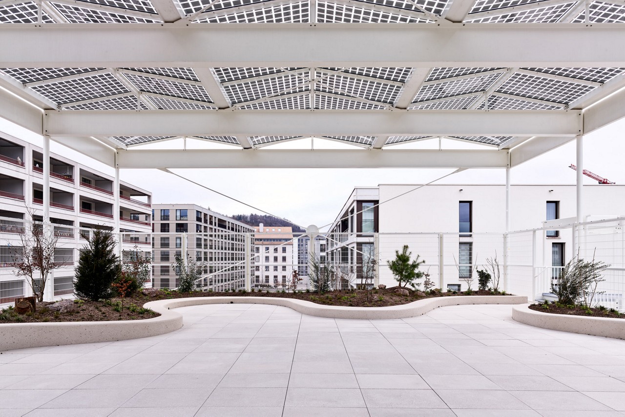 cq5dam.web.1280.1280 (6)