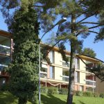 thumb_9737__auto_611f967e3169e9cbf8f16bd827247952