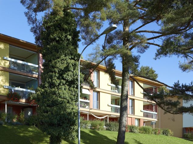 thumb_9737__auto_611f967e3169e9cbf8f16bd827247952